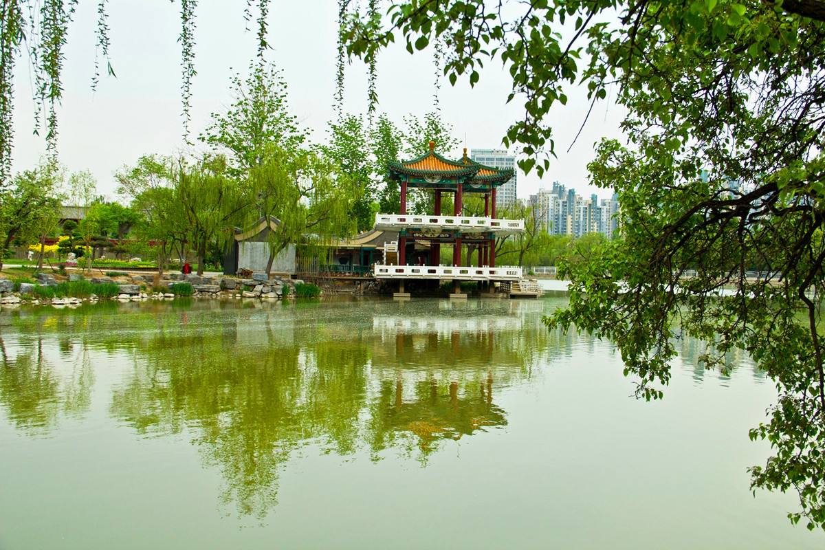 SpringMVC的控制器是单例的吗?